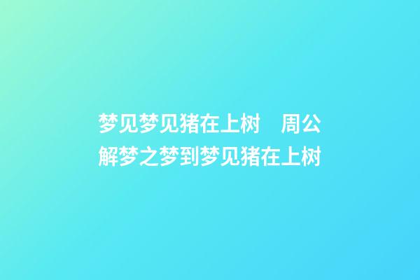 梦见梦见猪在上树　周公解梦之梦到梦见猪在上树